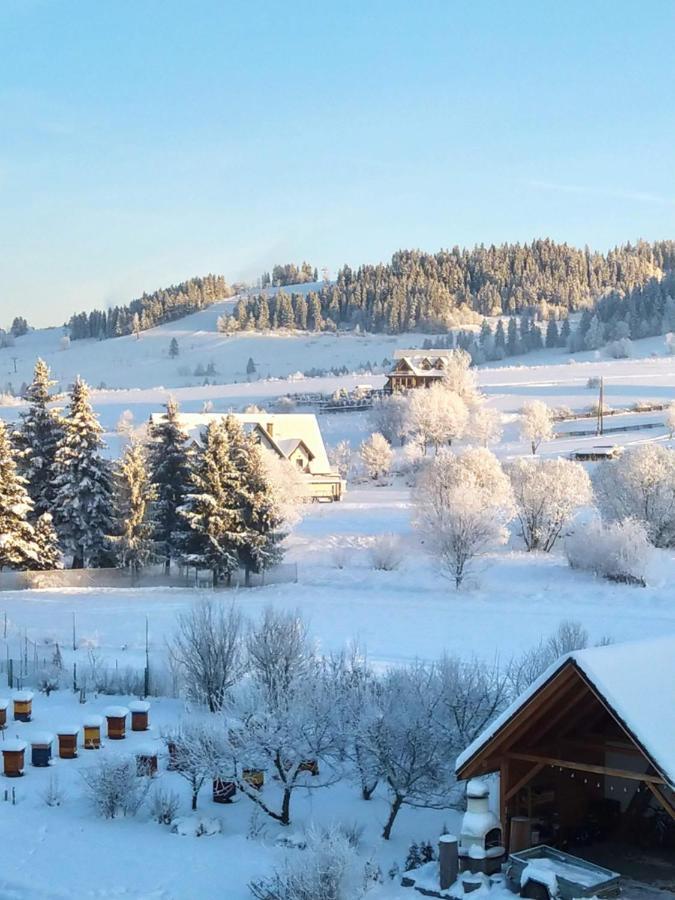 Ferienwohnung To Tu Czarna Góra Exterior foto