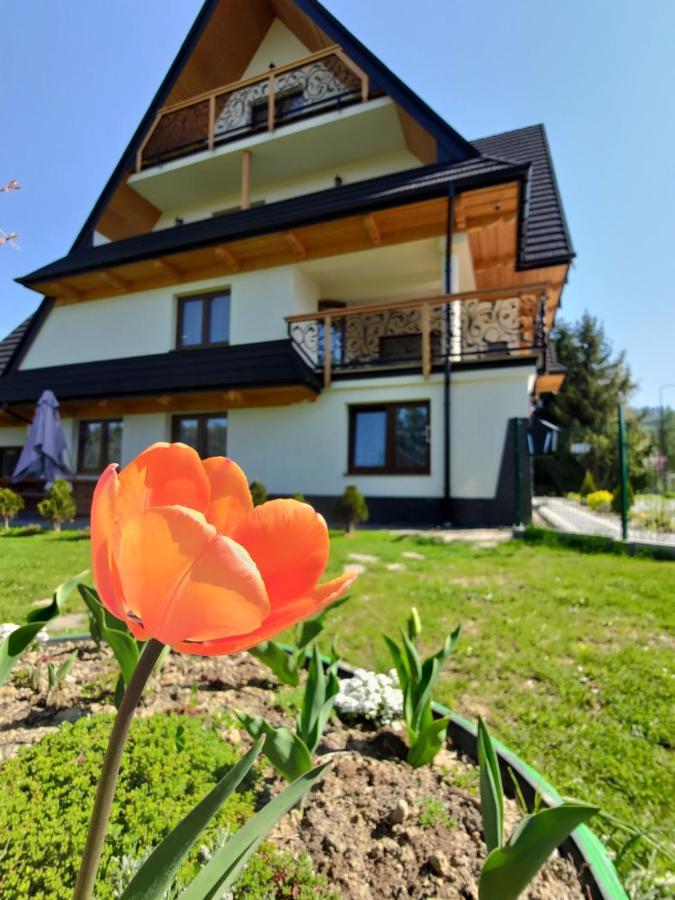 Ferienwohnung To Tu Czarna Góra Exterior foto
